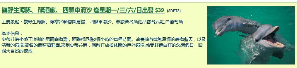 觀野生海豚、 釀酒廠、 四驅車滑沙 逢星期一/三/六/日出發 $39   SDPTS 